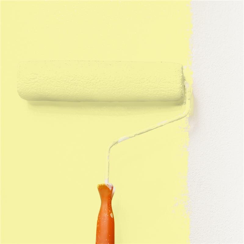 Wandfarbe NCS-S-0530-G80Y Frühlingsknospe von Wallcover Colors