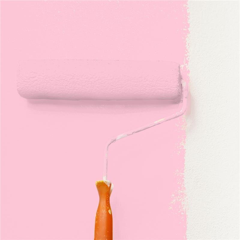 Wandfarbe NCS-S-0530-R20B Roséblütenzauber von Wallcover Colors