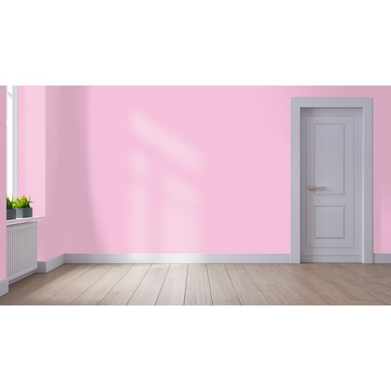 Wandfarbe NCS-S-0530-R30B Rosé Blush von Wallcover Colors