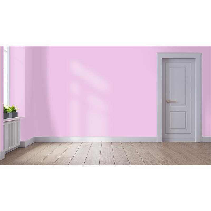 Wandfarbe NCS-S-0530-R40B Rosé Blush von Wallcover Colors