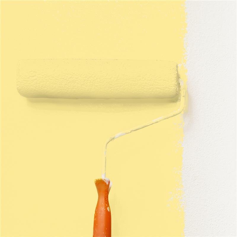 Wandfarbe NCS-S-0530-Y Frühlingssonne von Wallcover Colors