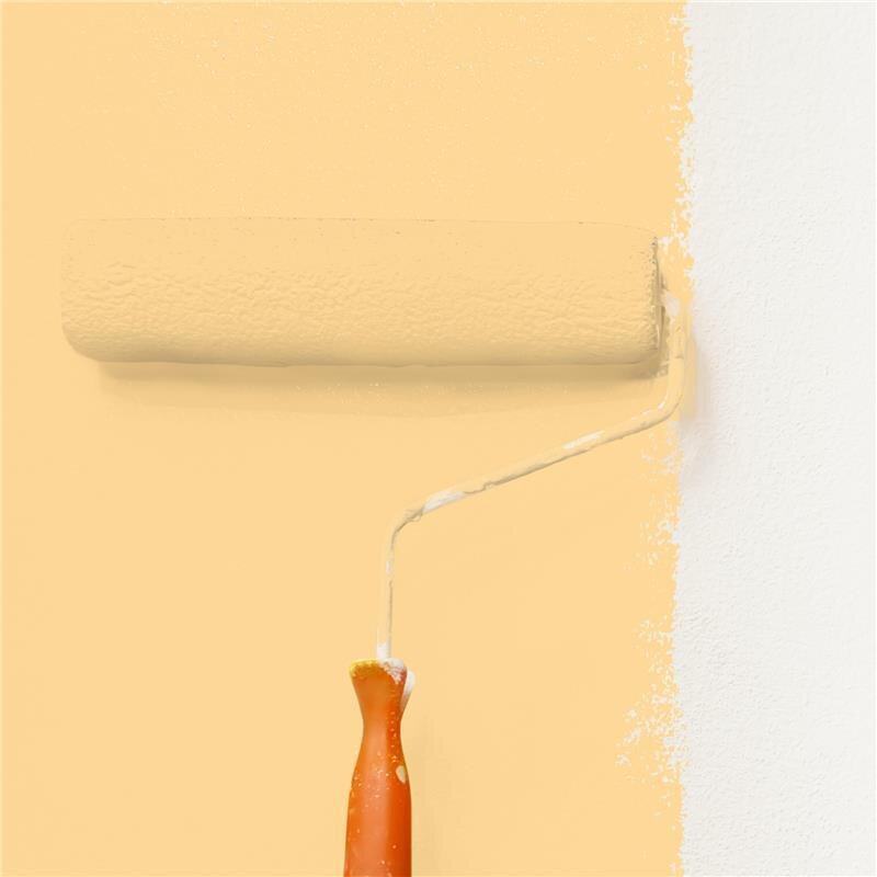 Wandfarbe NCS-S-0530-Y20R Sonnengold von Wallcover Colors