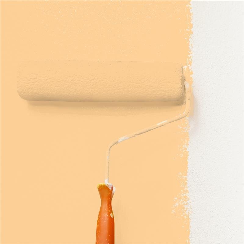 Wandfarbe NCS-S-0530-Y30R Sonnengold von Wallcover Colors