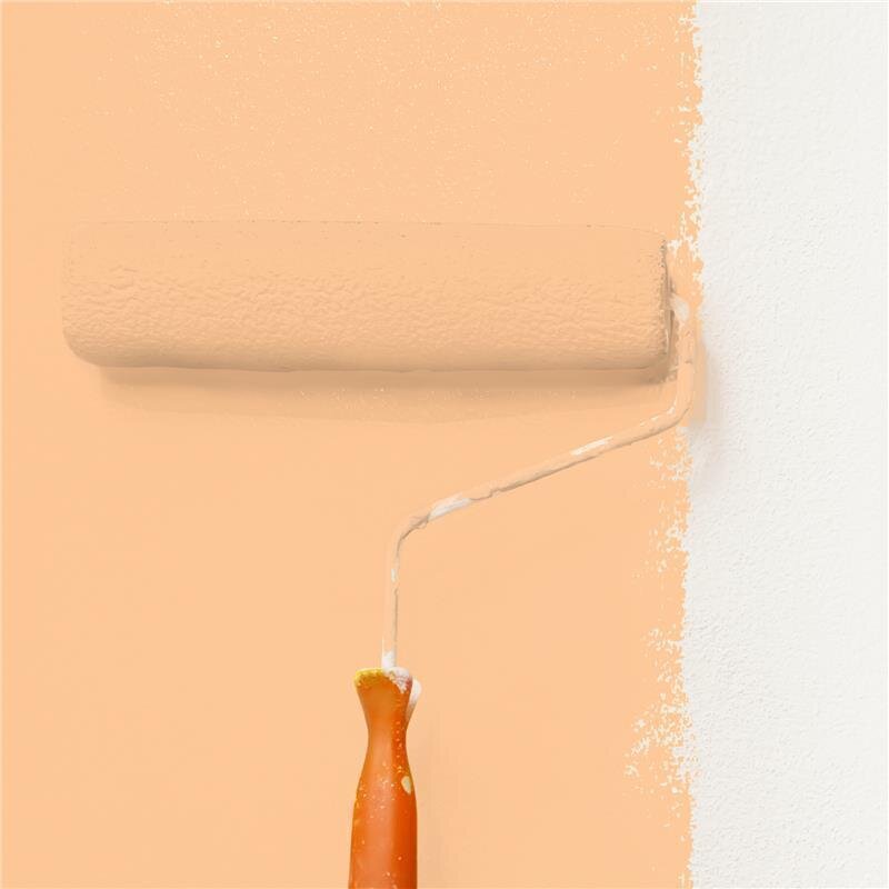 Wandfarbe NCS-S-0530-Y40R Apricot Rosé von Wallcover Colors