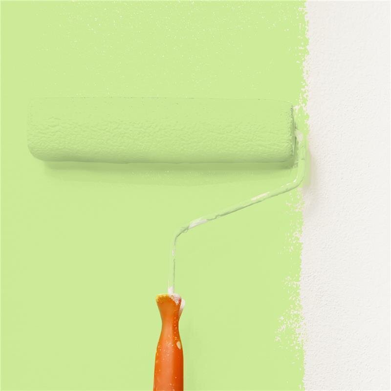 Wandfarbe NCS-NCS-S-0540-G40Y Frühlingsblatt von Wallcover Colors