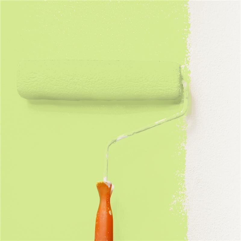 Wandfarbe NCS-S-0540-G50Y Frühlingsfrische von Wallcover Colors
