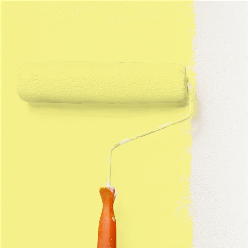 Wandfarbe NCS-S-0540-G80Y Frühlingsgarten von Wallcover Colors