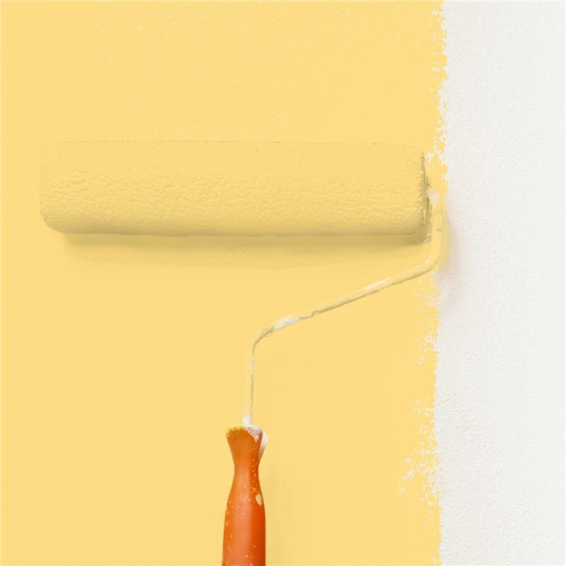 Wandfarbe NCS-S-0540-Y10R Sonnenaufgangsfrische von Wallcover Colors