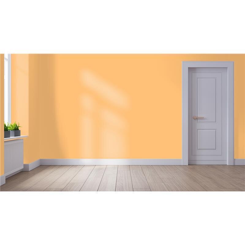 Wandfarbe NCS-S-0540-Y30R Sonnenuntergangszauber von Wallcover Colors