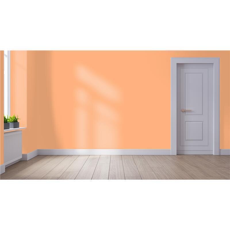 Wandfarbe NCS-S-0540-Y50R Sonnenuntergangszauber von Wallcover Colors