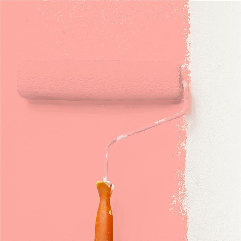 Wandfarbe NCS-S-0540-Y90R Korallenschimmer von Wallcover Colors