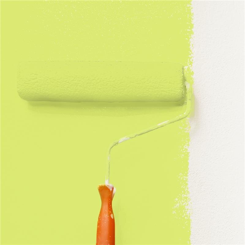 Wandfarbe NCS-S-0550-G60Y Frühlingsfrische von Wallcover Colors