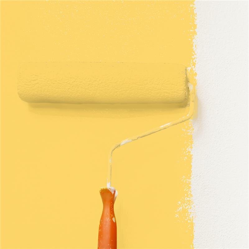 Wandfarbe NCS-S-0550-Y10R Sonnenglanz von Wallcover Colors