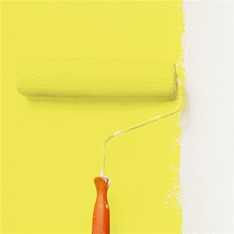 Wandfarbe NCS-S-0560-G80Y Frühlingsfrische von Wallcover Colors