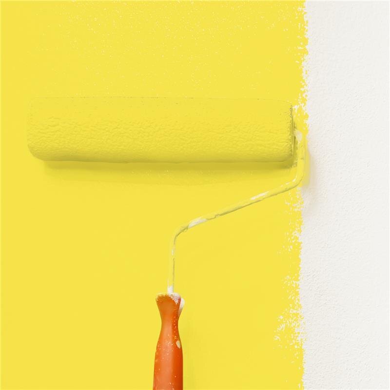 Wandfarbe NCS-S-0560-G90Y Frühlingsknospe von Wallcover Colors