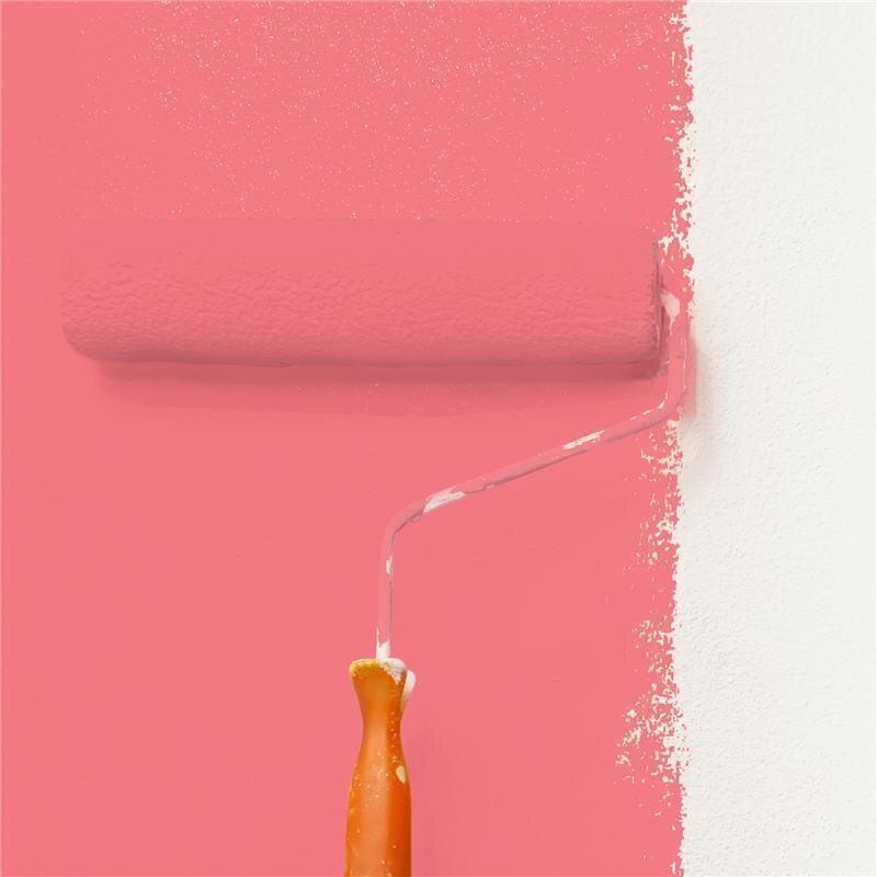 Wandfarbe NCS-S-0560-R Leidenschaftsrot von Wallcover Colors