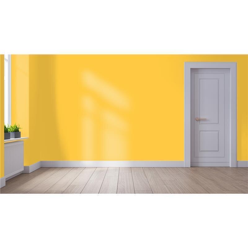 Wandfarbe NCS-S-0560-Y10R Herbstsonne von Wallcover Colors