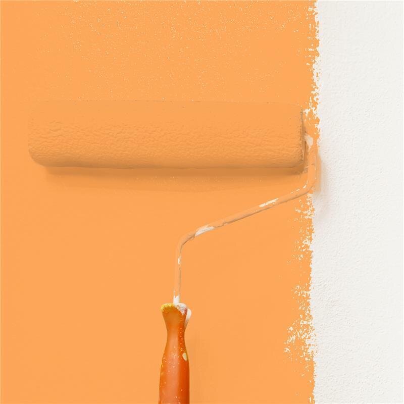 Wandfarbe NCS-S-0560-Y40R Sonniges Apricot von Wallcover Colors