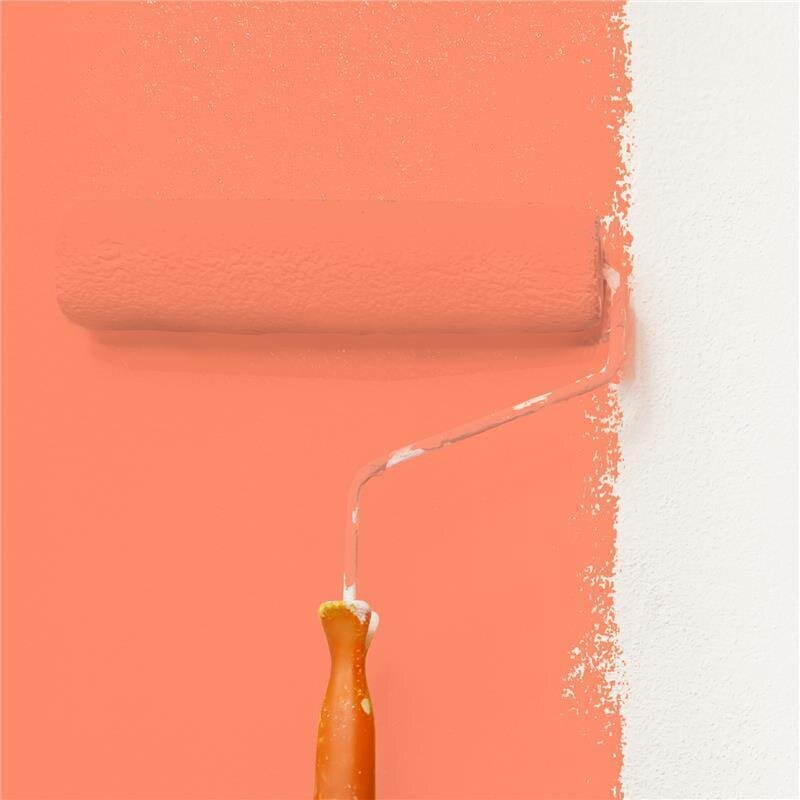 Wandfarbe NCS-S-0560-Y70R Sonnenglut von Wallcover Colors