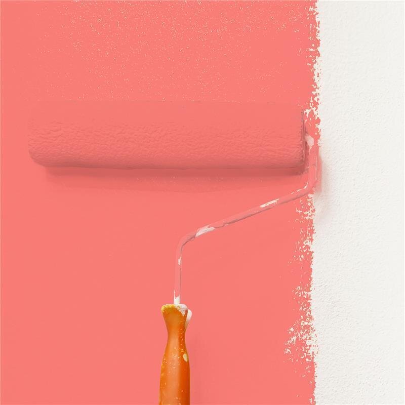 Wandfarbe NCS-S-0560-Y90R Goldener Sonnenuntergang von Wallcover Colors