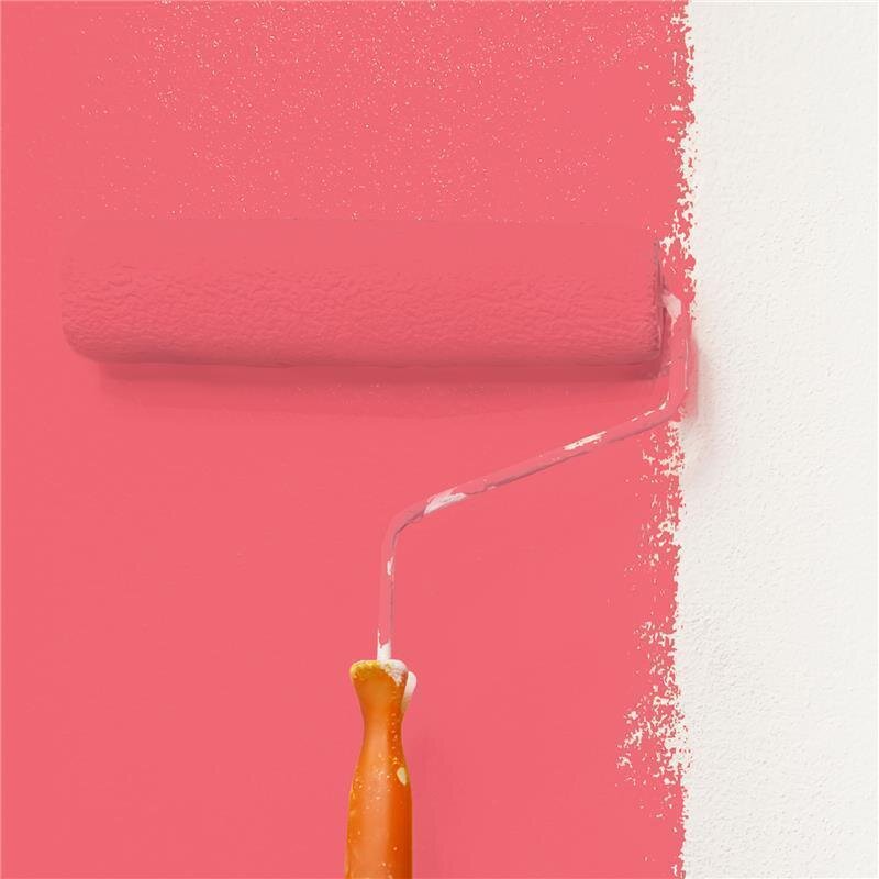 Wandfarbe NCS-S-0565-R Feuriges Rot von Wallcover Colors