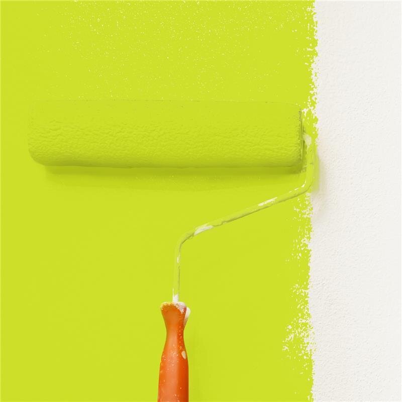 Wandfarbe NCS-S-0570-G60Y Limettensommer von Wallcover Colors