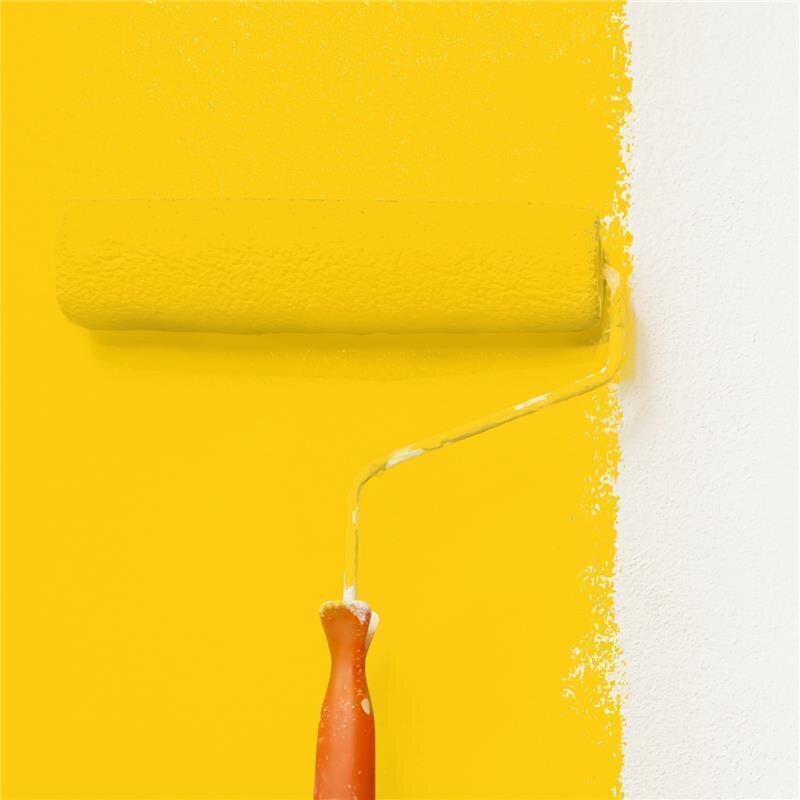 Wandfarbe NCS-S-0570-Y10R Sonnenglanz von Wallcover Colors