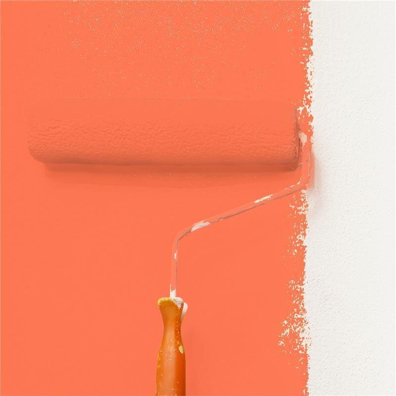 Wandfarbe NCS-S-0570-Y70R Sonnenglut von Wallcover Colors