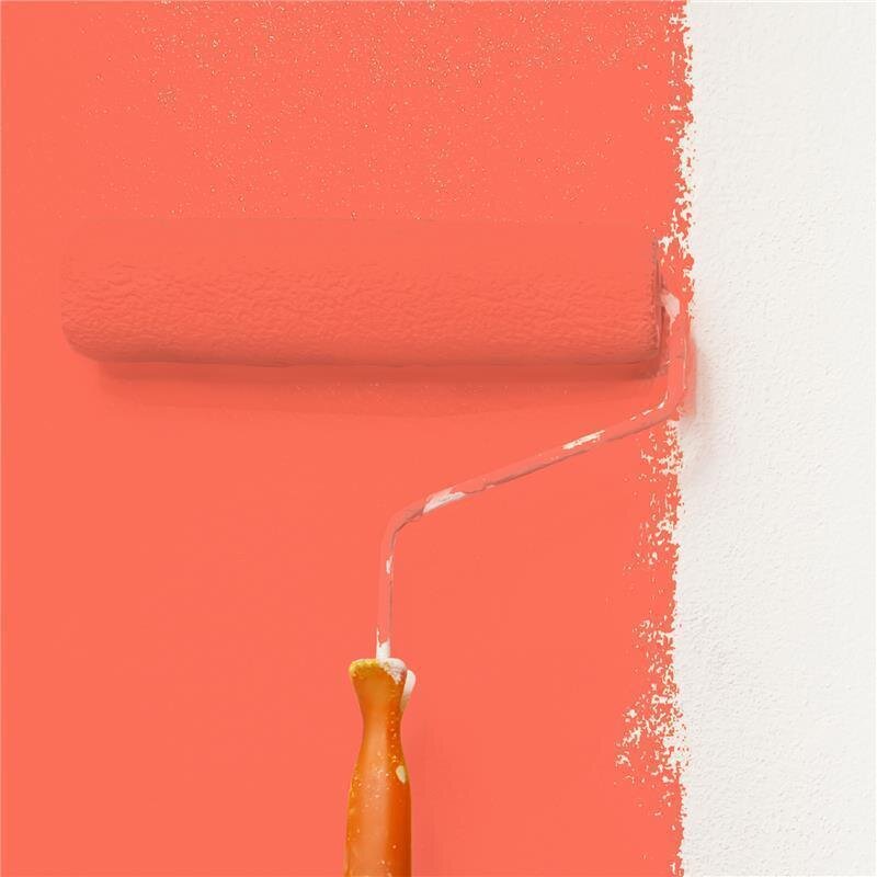 Wandfarbe NCS-S-0570-Y80R Strahlendes Goldgelb von Wallcover Colors