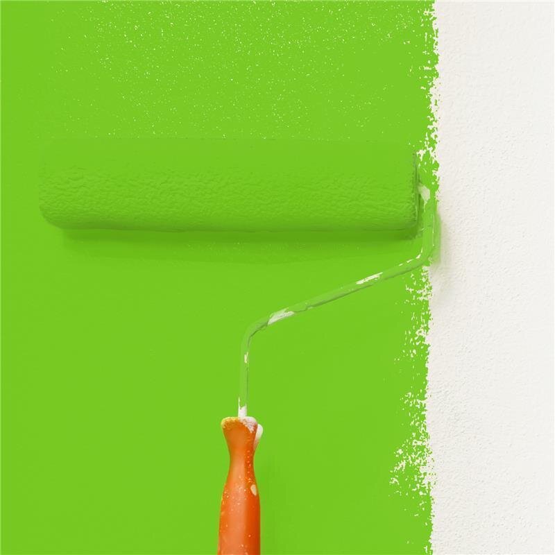 Wandfarbe NCS-S-0580-G30Y Frühlingsenergie von Wallcover Colors