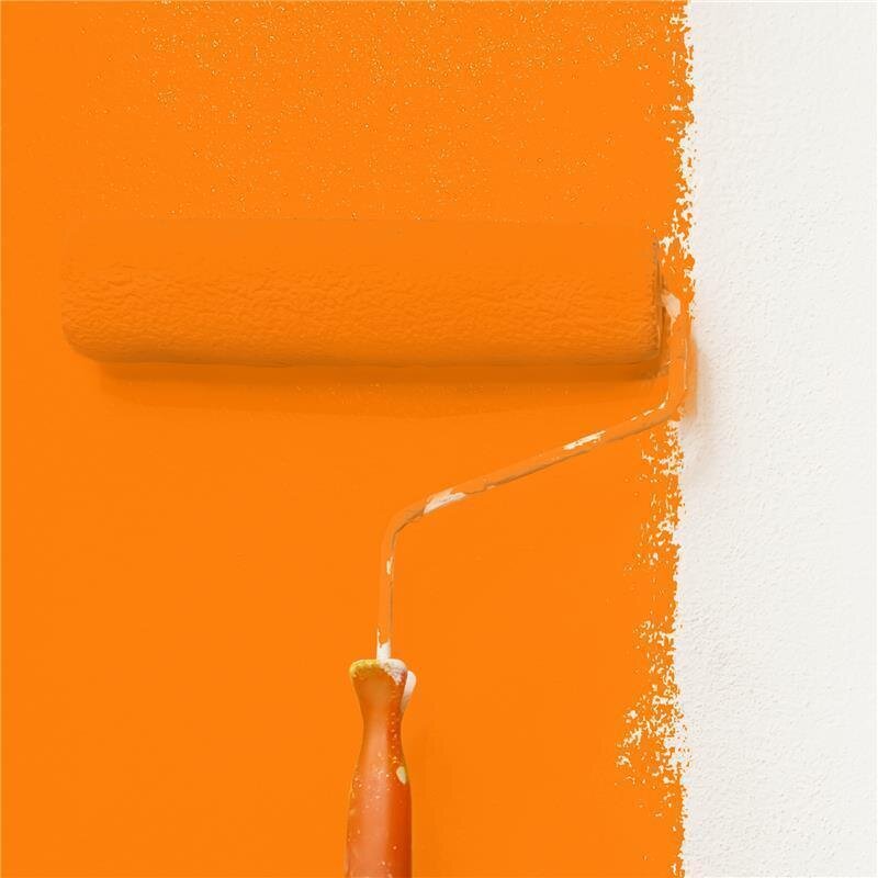 Wandfarbe NCS-S-0580-Y50R Sonnenuntergangsenergie von Wallcover Colors