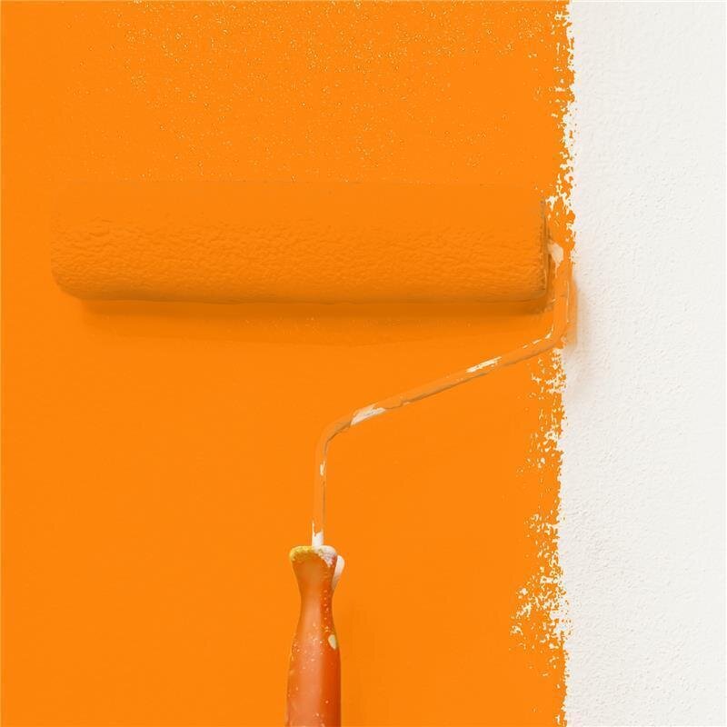 Wandfarbe NCS-S-0585-Y50R Sonnenuntergangszauber von Wallcover Colors