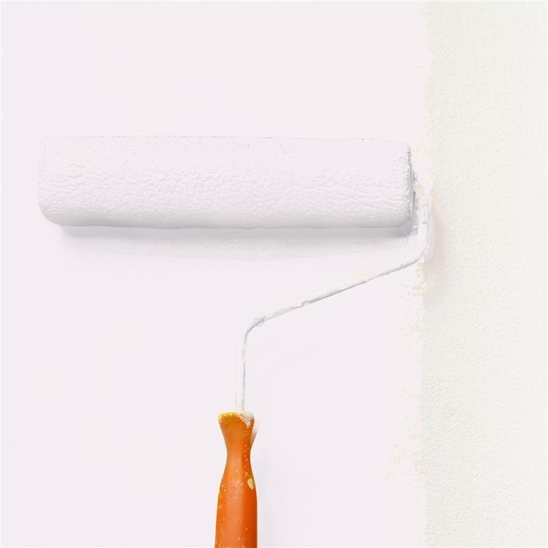 Wandfarbe NCS-S-0603-R20B Frühlingsrosé von Wallcover Colors