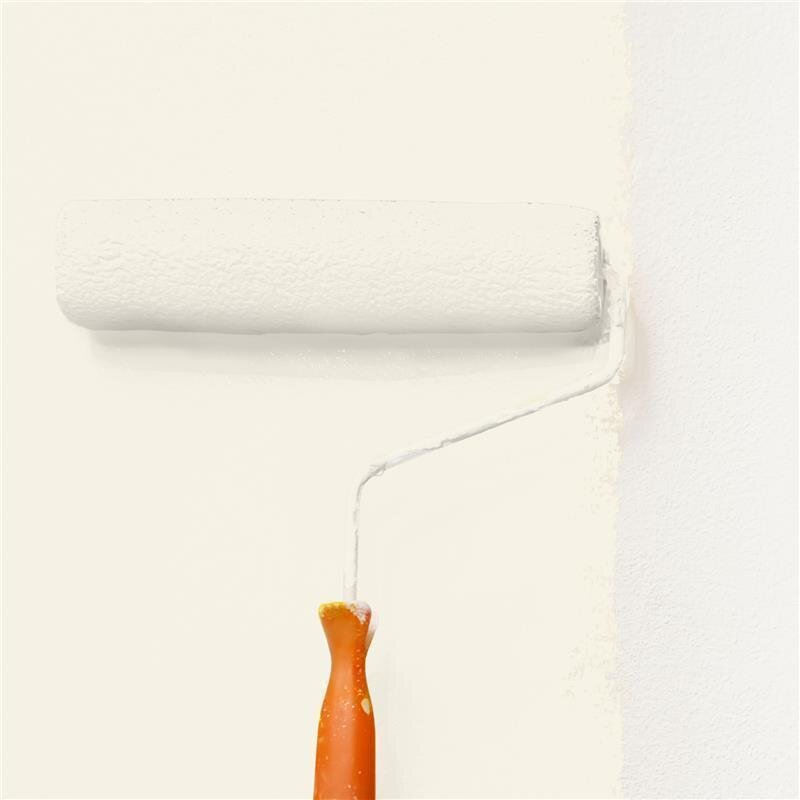 Wandfarbe NCS-S-0603-Y20R Sanfte Aprikosencreme von Wallcover Colors