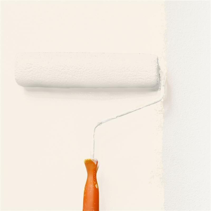 Wandfarbe NCS-S-0603-Y40R Sonnenuntergangszauber von Wallcover Colors