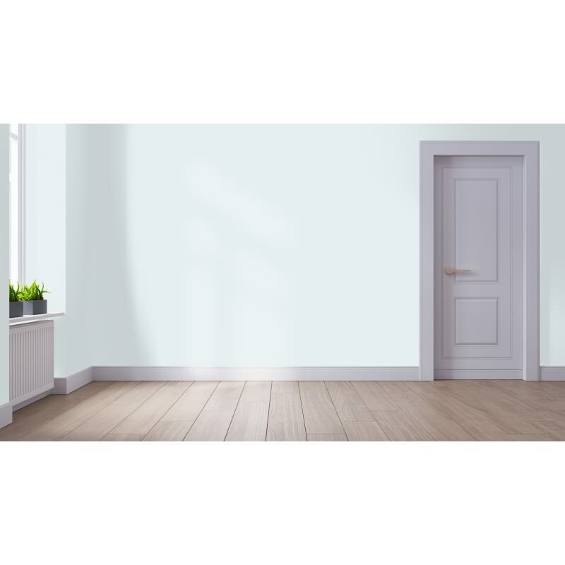 Wandfarbe NCS-S-0804-B50G Morgentau von Wallcover Colors