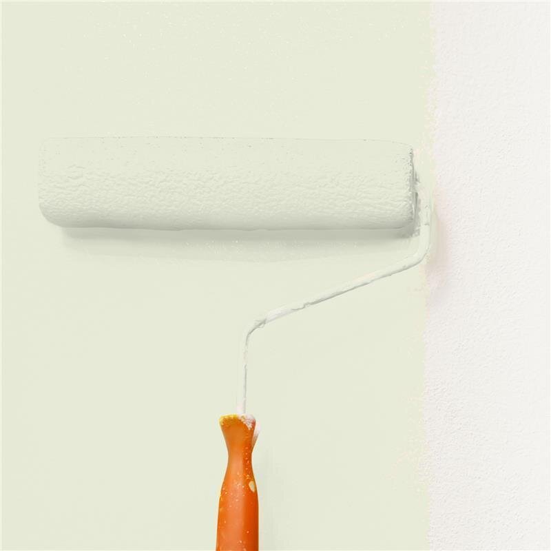 Wandfarbe NCS-S-0907-G60Y Frühlingswald von Wallcover Colors