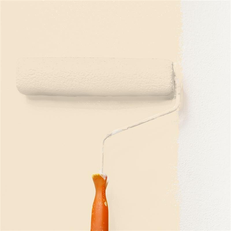 Wandfarbe NCS-S-0907-Y30R Amberglanz von Wallcover Colors