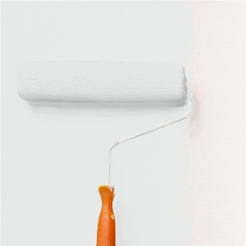 Wandfarbe NCS-S-1001-G Nebelmorgen von Wallcover Colors