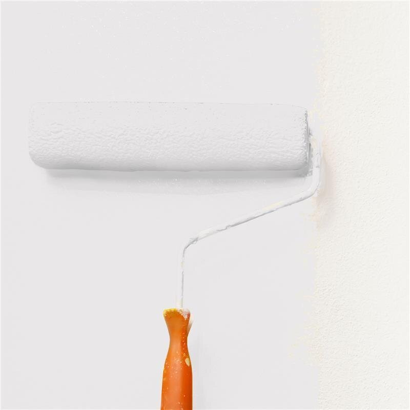 Wandfarbe NCS-S-1001-R Elegante Creme von Wallcover Colors