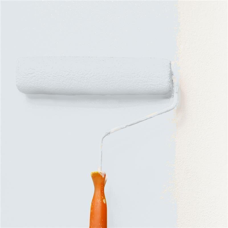 Wandfarbe NCS-S-1002-B Nebelschleier von Wallcover Colors