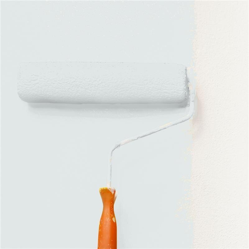 Wandfarbe NCS-S-1002-B50G Silbergraue Eleganz von Wallcover Colors