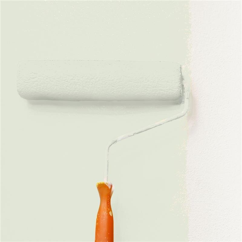 Wandfarbe NCS-S-1005-G50Y Sanftes Moos von Wallcover Colors