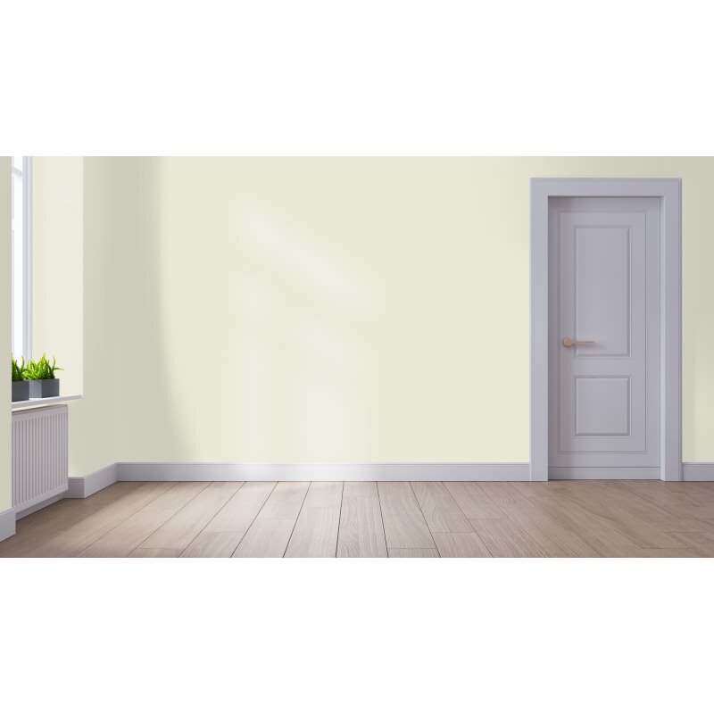 Wandfarbe NCS-S-1005-G80Y Nebelmorgen von Wallcover Colors