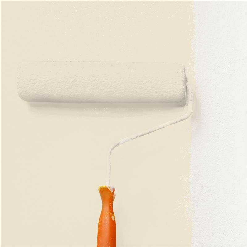 Wandfarbe NCS-S-1005-Y20R Sanfte Eleganz von Wallcover Colors