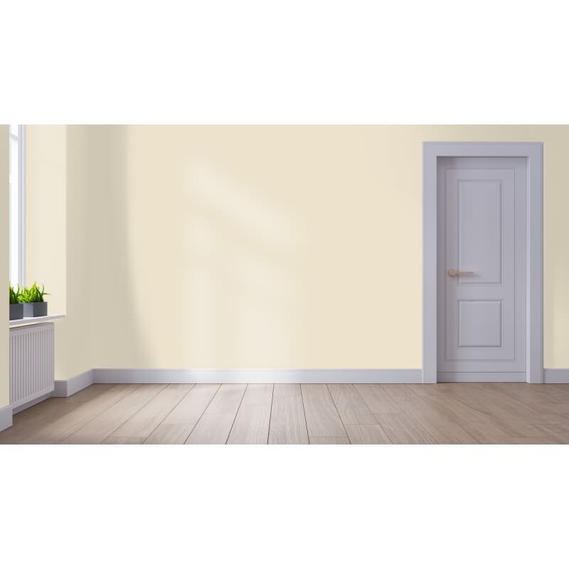 Wandfarbe NCS-S-1005-Y20R Sanfte Eleganz von Wallcover Colors