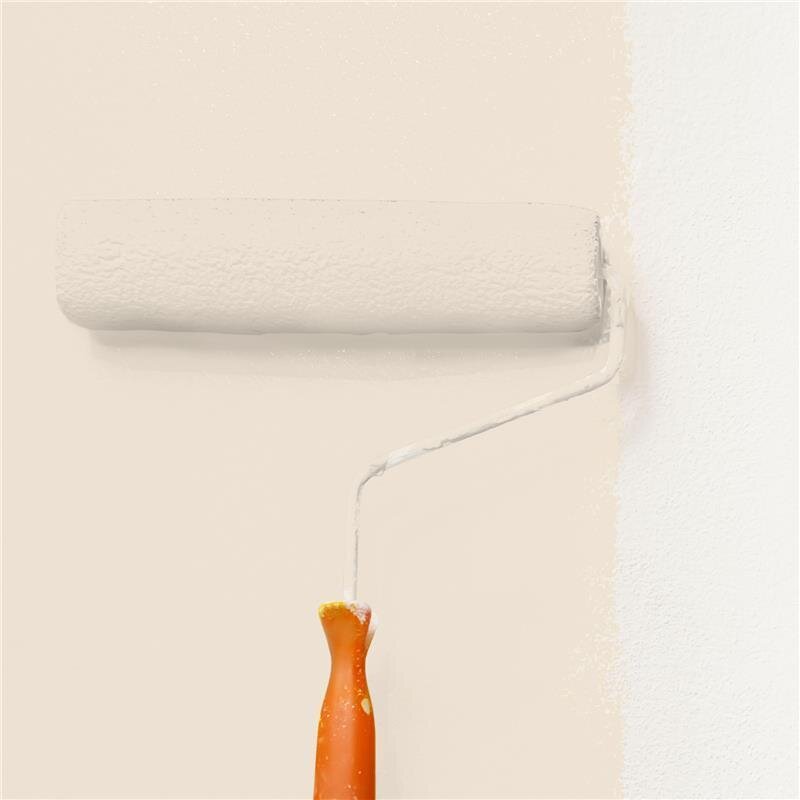 Wandfarbe NCS-S-1005-Y40R Sanfte Aprikosencreme von Wallcover Colors