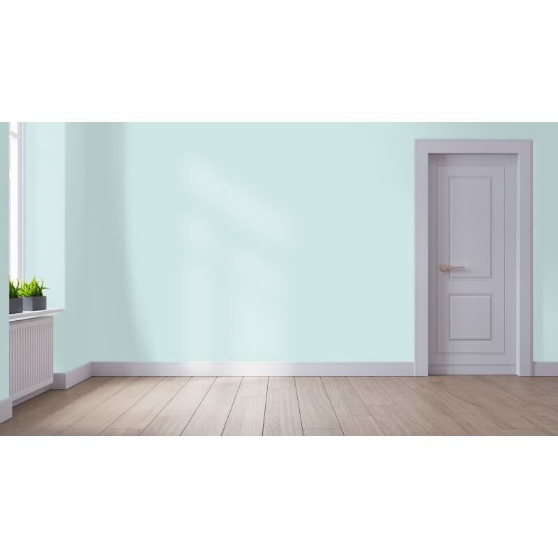 Wandfarbe NCS-S-1010-B50G Frühlingsmorgen von Wallcover Colors