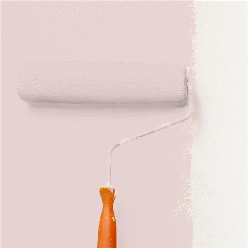 Wandfarbe NCS-S-1010-R Morgenrot von Wallcover Colors