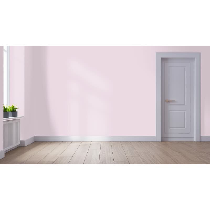 Wandfarbe NCS-S-1010-R30B Rosé Eleganz von Wallcover Colors